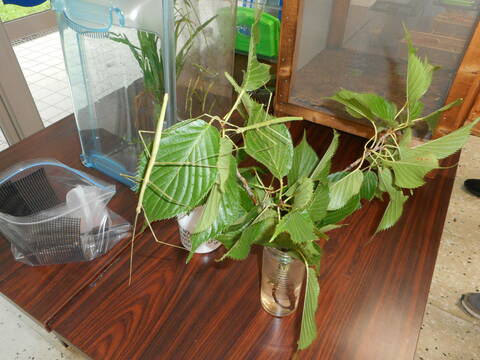 DSCN1148.JPG