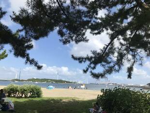 海の公園　園内風景！