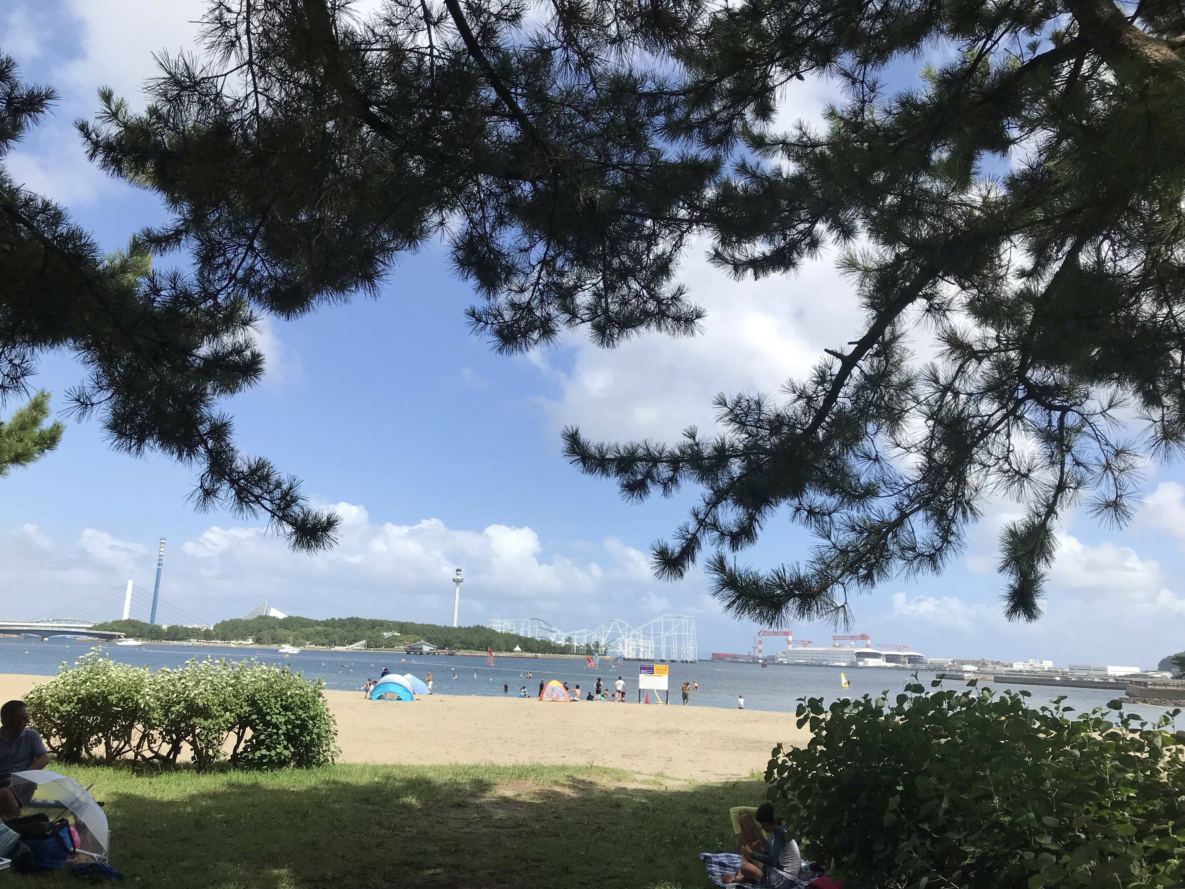 海の公園 園内風景!の写真