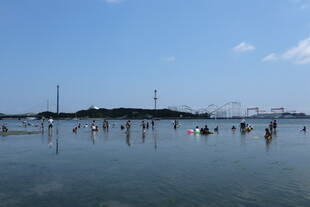 海の公園は夏本番