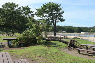 台風15号の去った後
