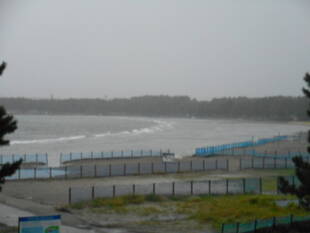 台風一過！！　園内の様子