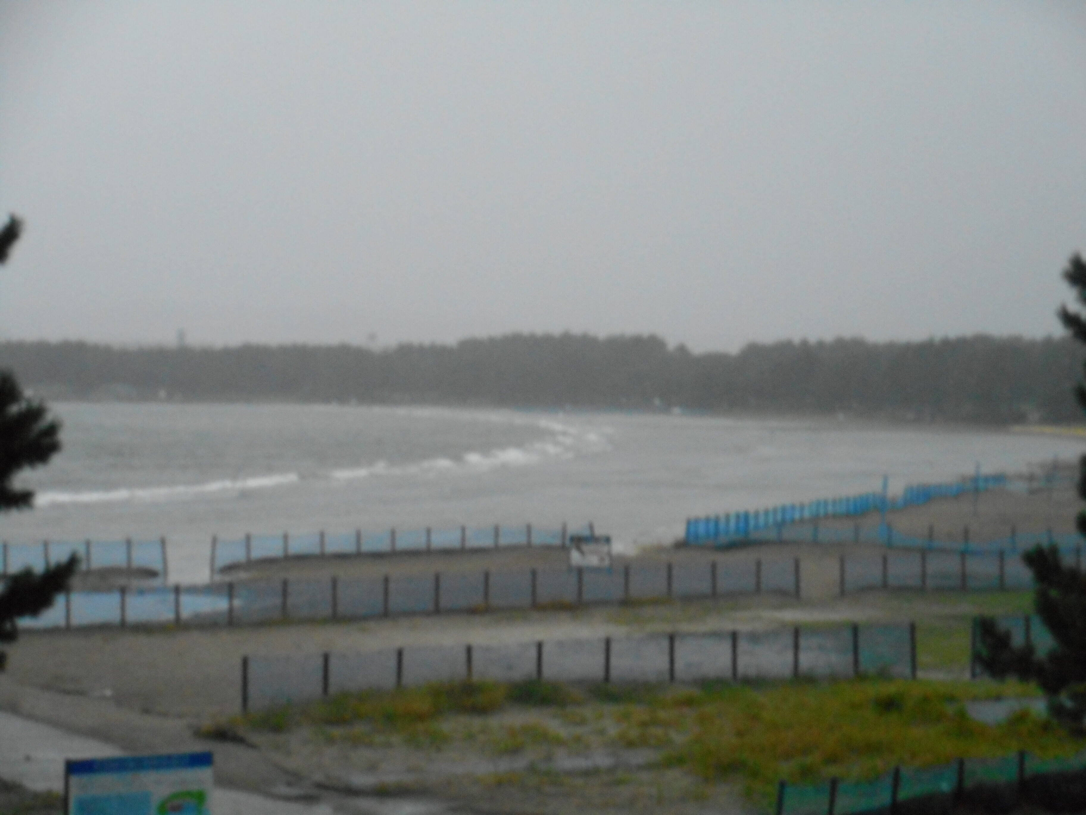 台風一過!! 園内の様子の写真