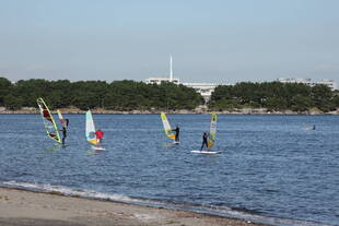 久しぶりの秋晴れ！