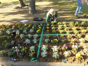 第7回 海の公園ボランティア活動が行われました