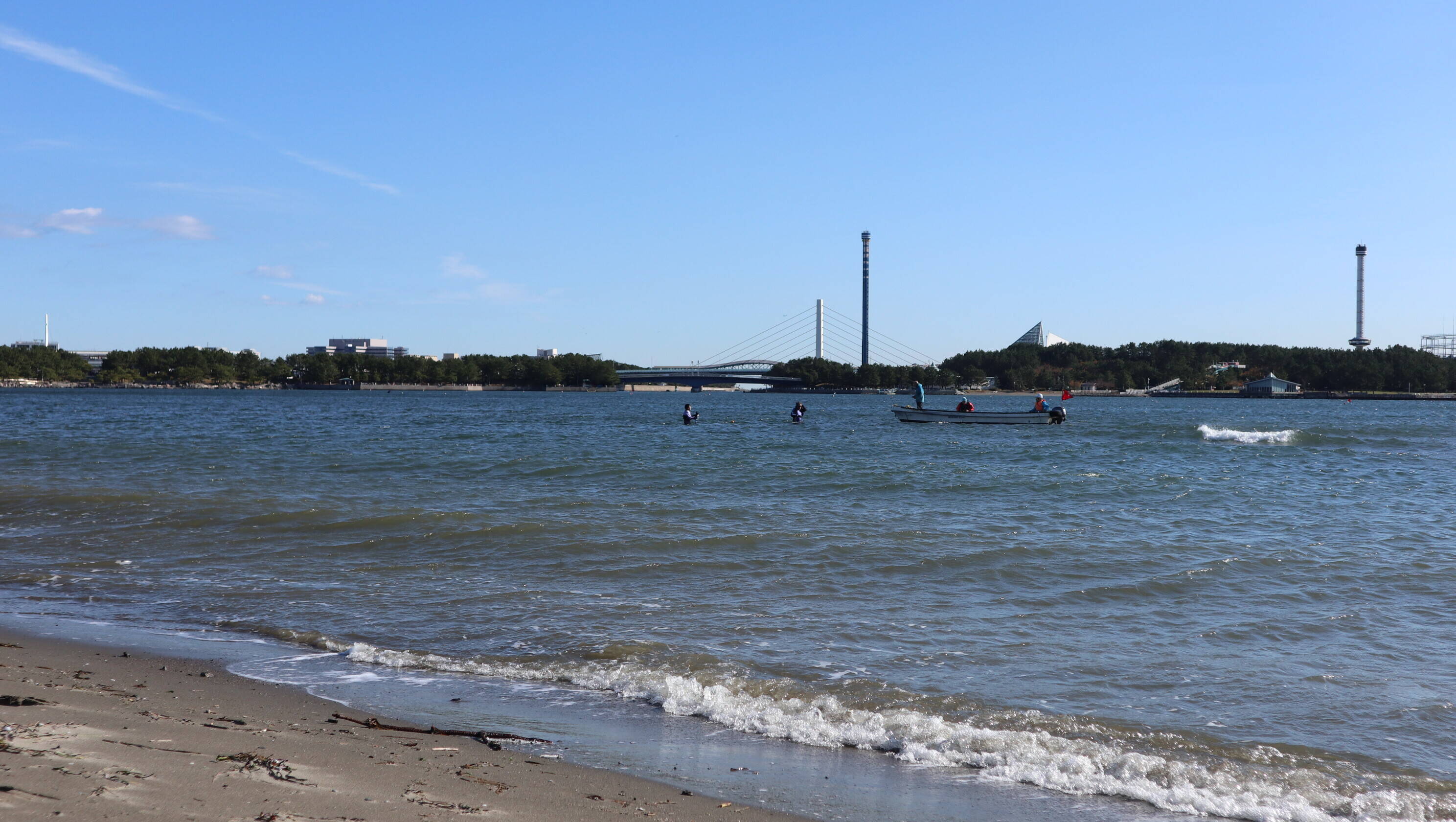 海の公園アサリ調査の写真