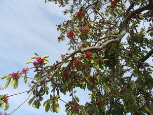 年末年始のお知らせ