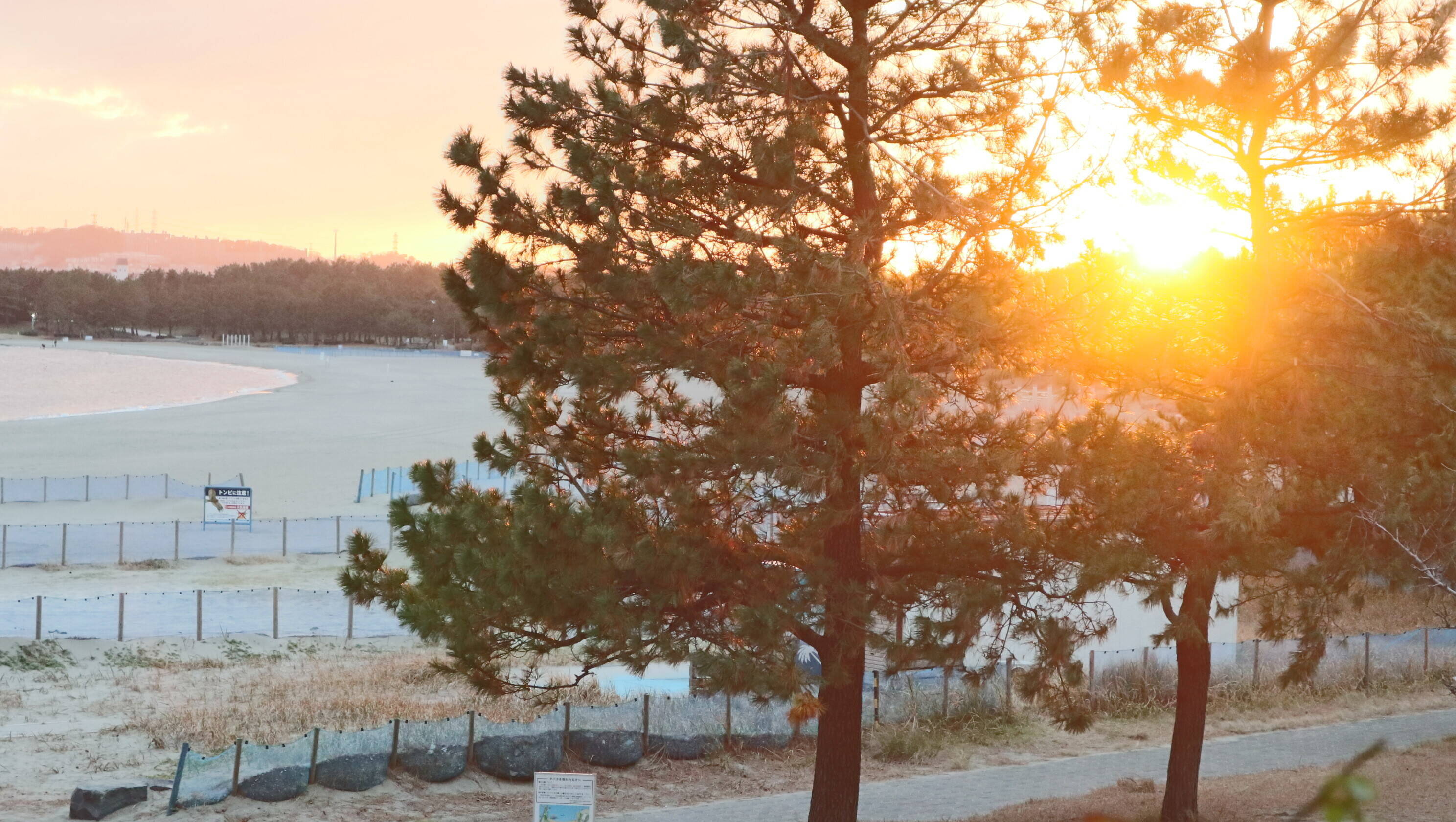 冬の海と夕焼けの写真