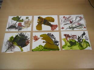 『海の環境を考える親子講座』最終回