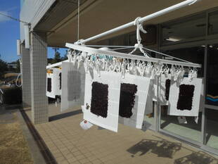 海の食育　～のりすき体験とアジの干物づくり～