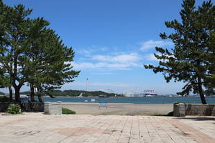 砂浜前の柵を撤去しました！！