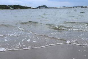 透き通った海！