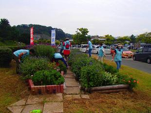 ボランティア活動