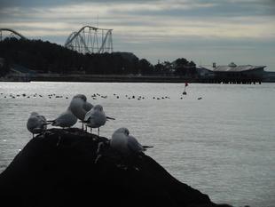 年末年始のお知らせ