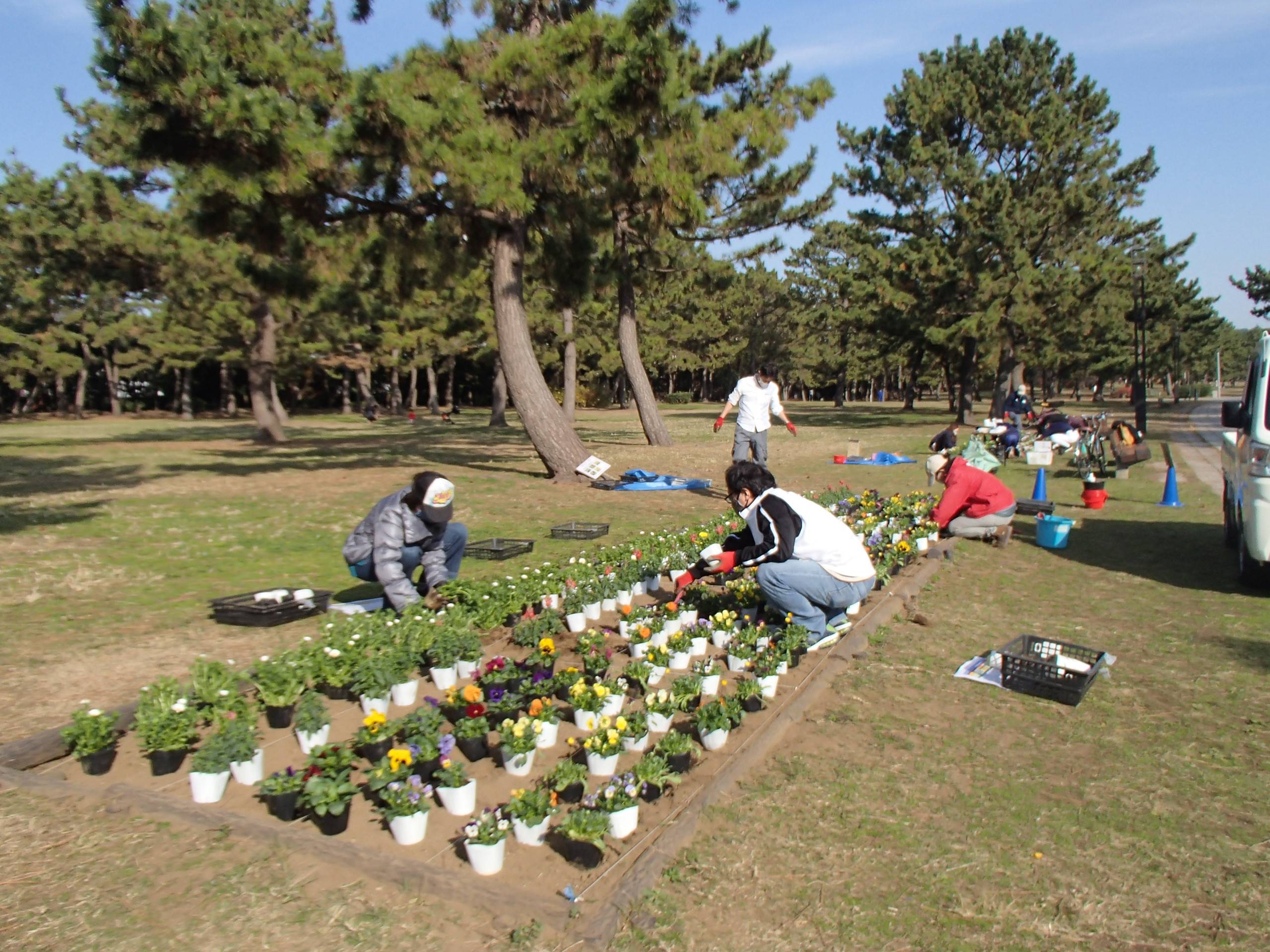 海の公園ボランティアDAY!の写真