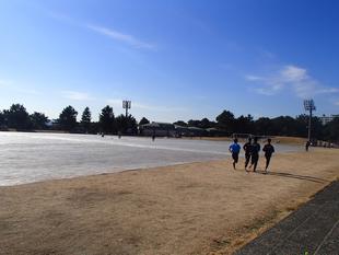 なぎさ広場グラウンド　養生中