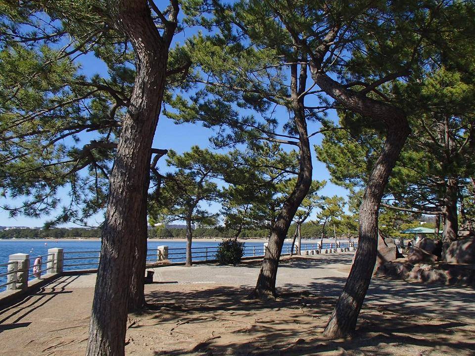 美しい海と緑、澄んだ光と空気がお出迎えの写真