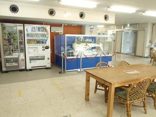 【白の王と風の街】