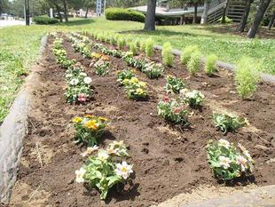 第2回海の公園ボランティアDAYを実施しました