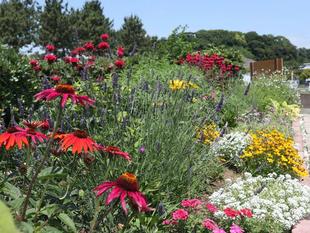 Welcome Garden！！