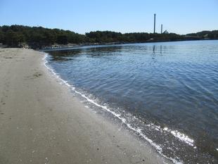 海の環境を考えよう（第1回）海の公園誕生のひみつ