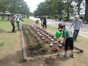 第3回海の公園ボランティアDAYを実施しました。
