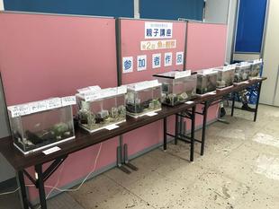 海の環境を考える親子講座「第２回魚の観察」