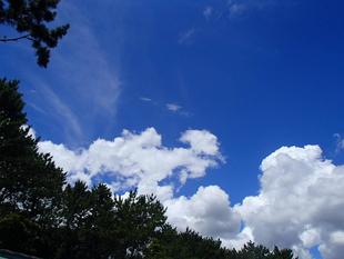 海の公園の夏！