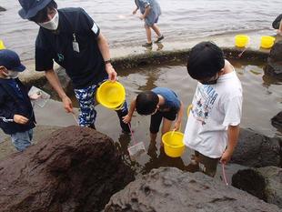 海の環境を考える親子講座「第3回磯場の生きもの観察」