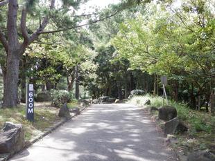 ジョギングコースのご案内