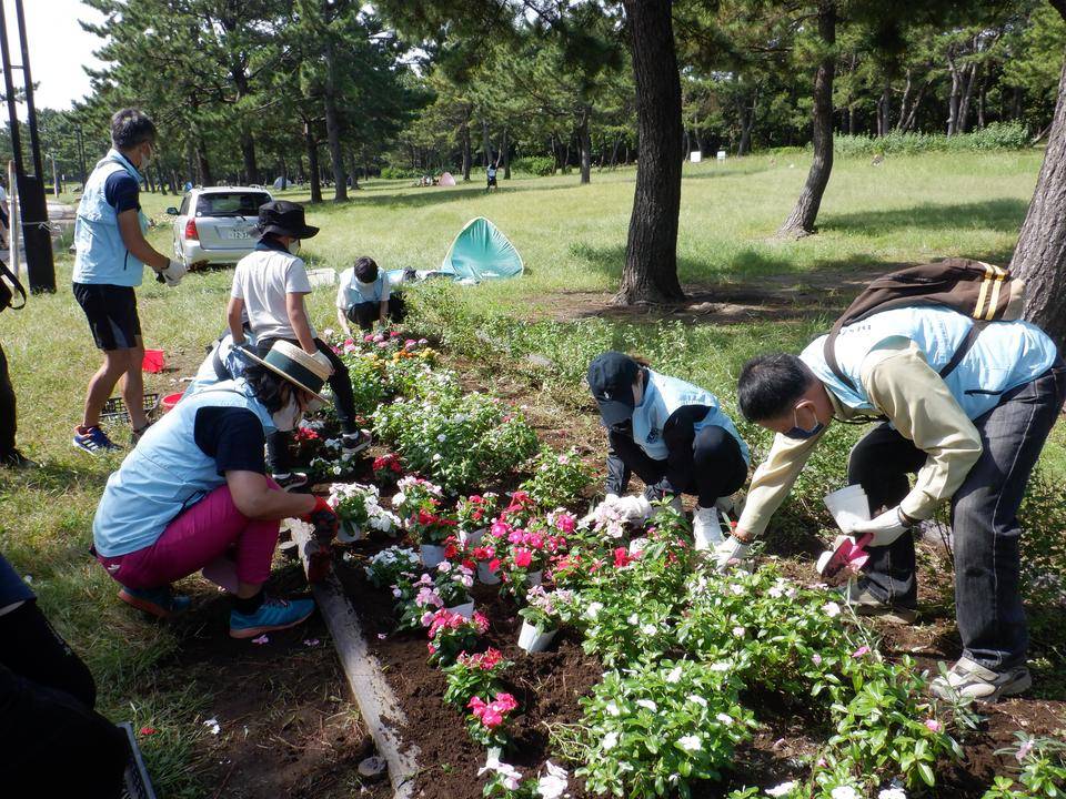 ボランティアで花植え活動の写真