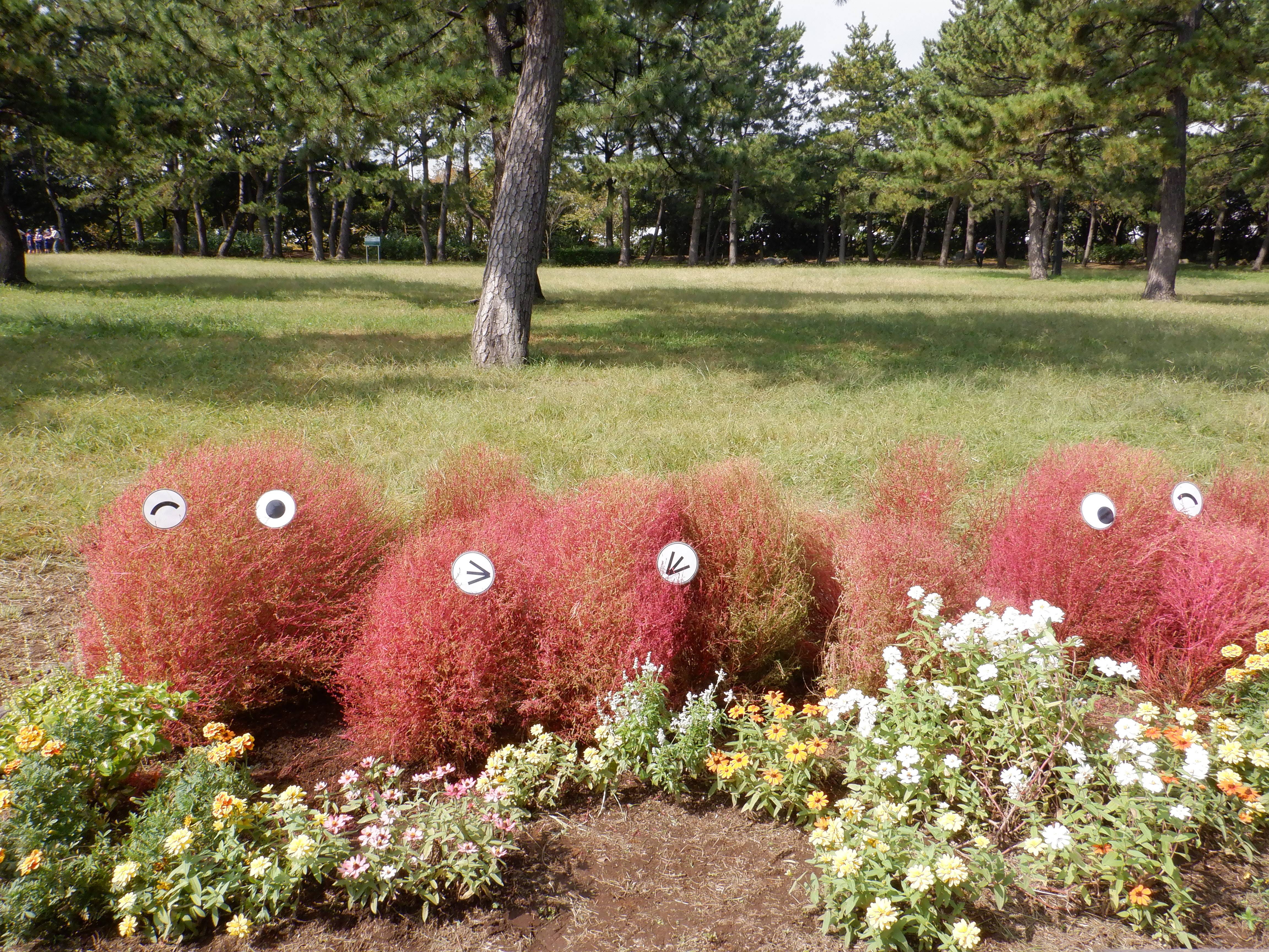 南口休憩所前の花壇をきれいにしましたの写真