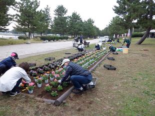 第7回海の公園ボランティアDAYを実施しました