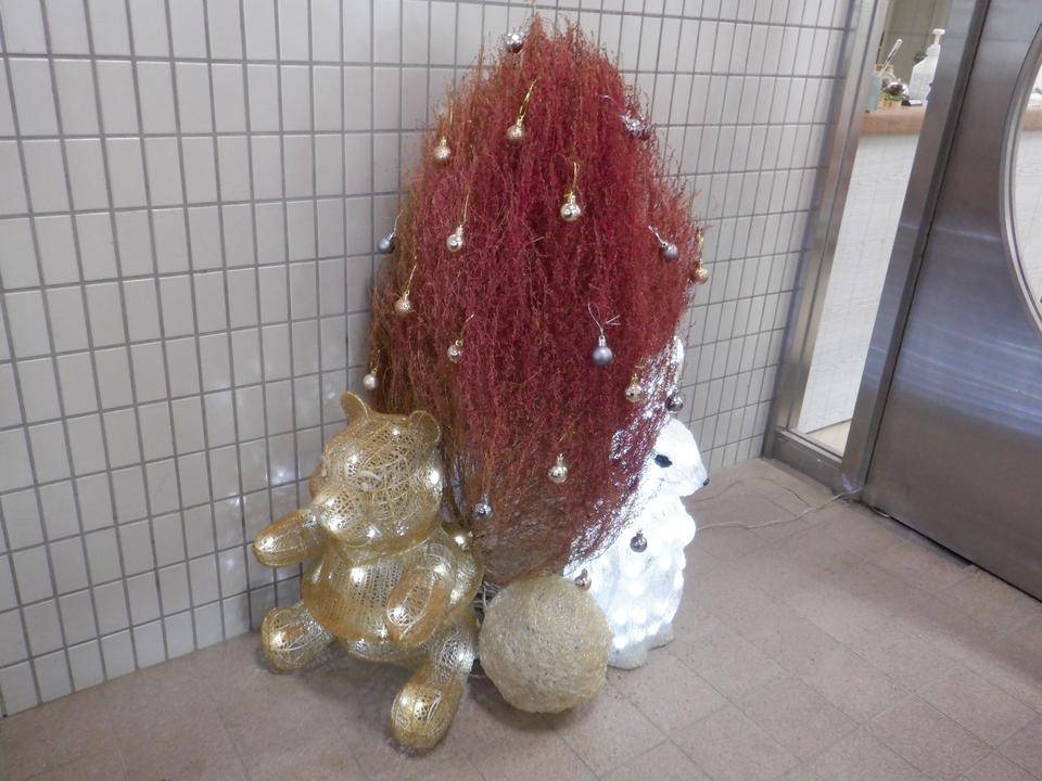 クリスマスの飾りつけの写真