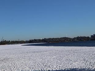 海の公園　雪景色
