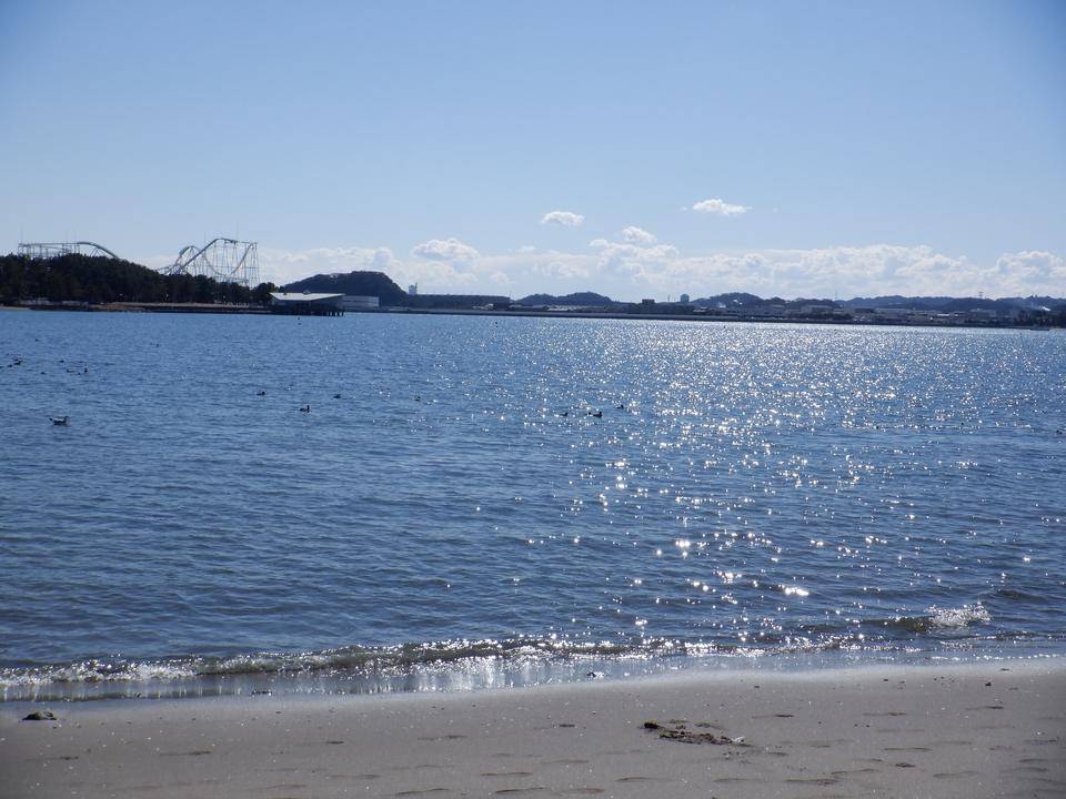 澄み切った空と海 冬の海の公園 の写真