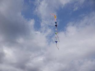 海空に凧(たこ)あがれ!