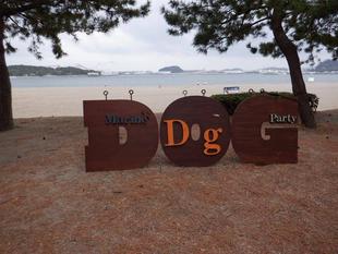 海の公園 『SEASIDE DOGRUN』