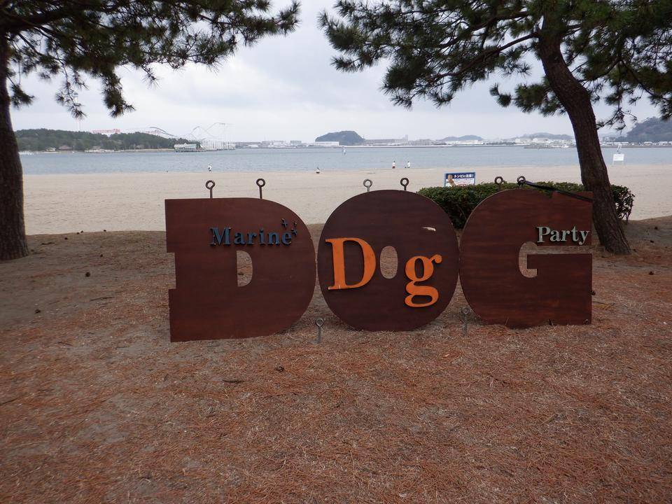 海の公園 『SEASIDE DOGRUN』の写真