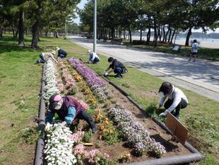 海の公園ボランティアDAYを実施しました