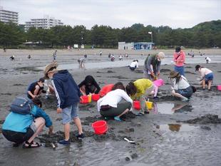 第14期海の環境を考える親子講座「第1回　潮干狩り」を開催しました