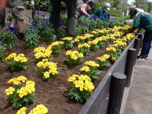 第2回　海の公園ボランティアDAＹを実施しました