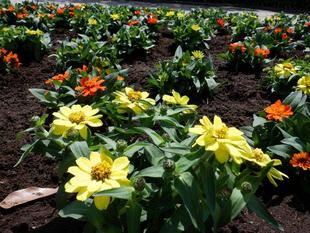 第3回海の公園ボランティアDAYを開催しました