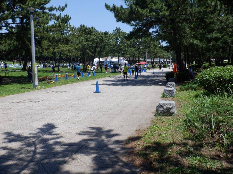海の公園『横浜金沢ハーフマラソン&エンジョイリレーマラソン』の写真