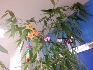 七夕に願いを込めて☆