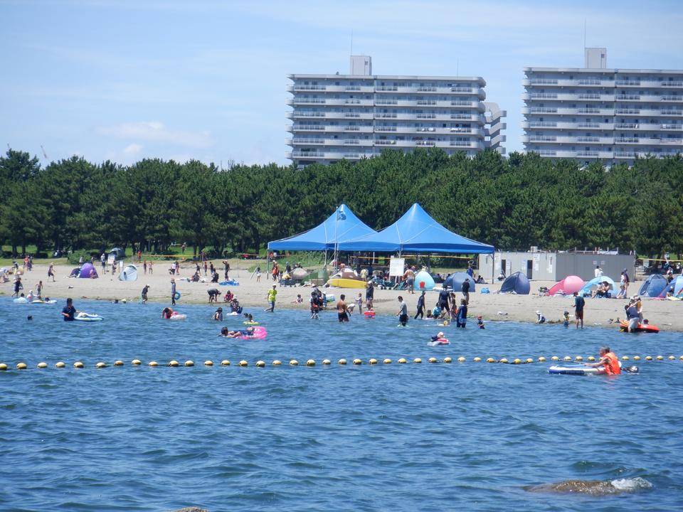海水浴場とアオサの写真