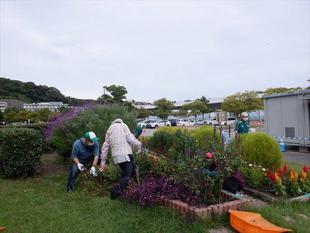 第6回海の公園ボランティアDAYを開催しました