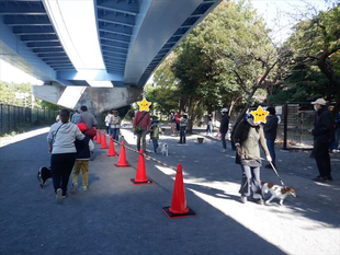 愛犬マナー教室を開催しました