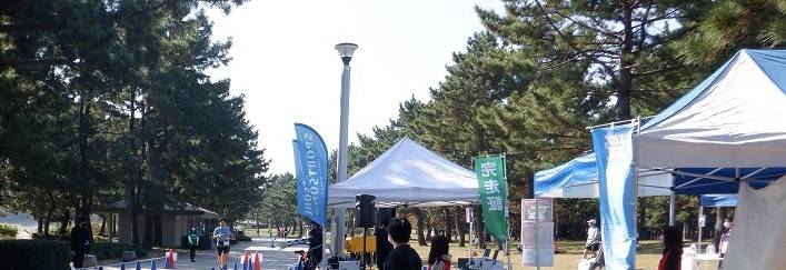 秋晴れの海の公園を走る「第2回金沢八景ハーフマラソン」の写真