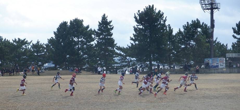 元気なラガーマン集結「ラグビースクール大会」の写真